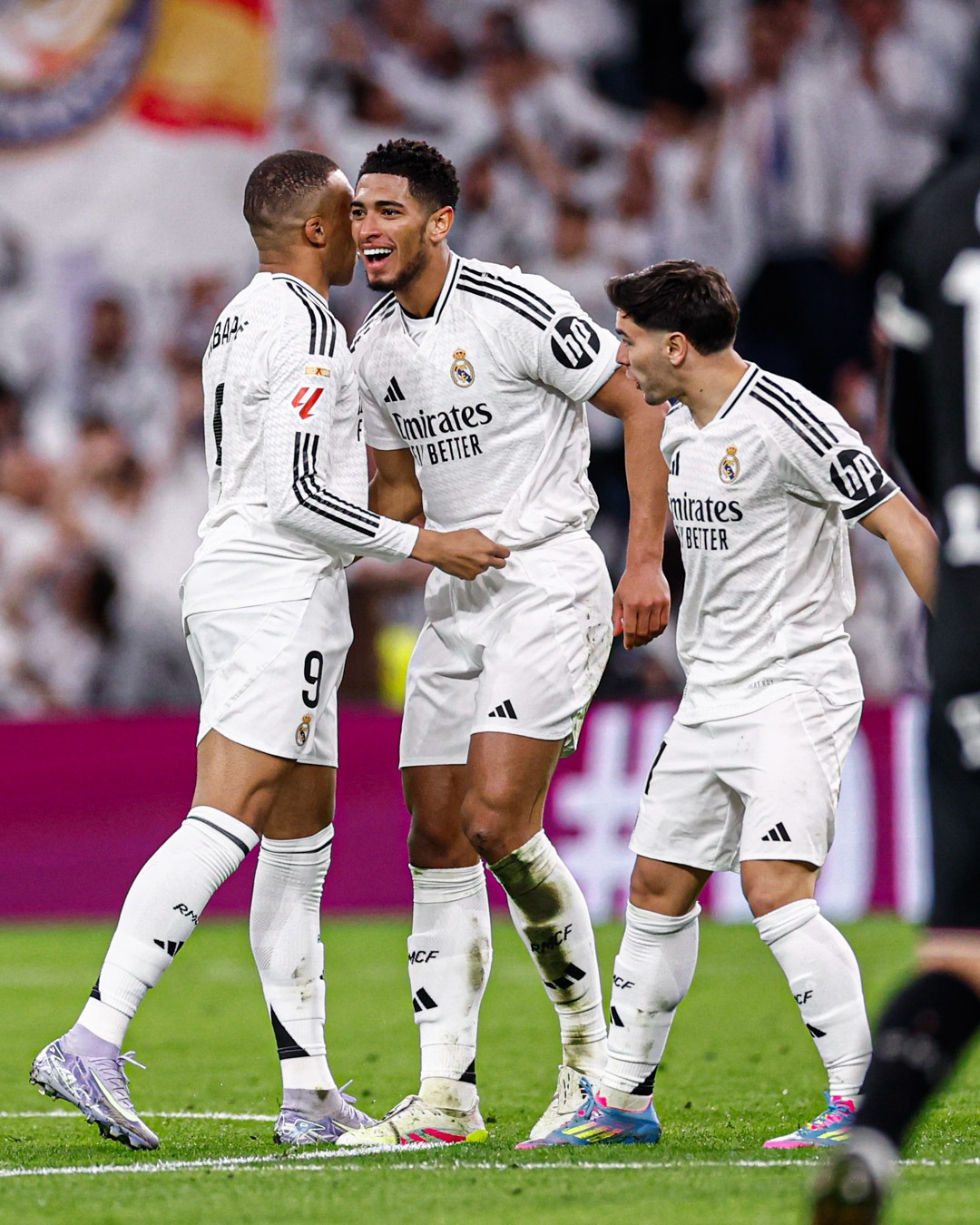 About img 20250329 wa0004